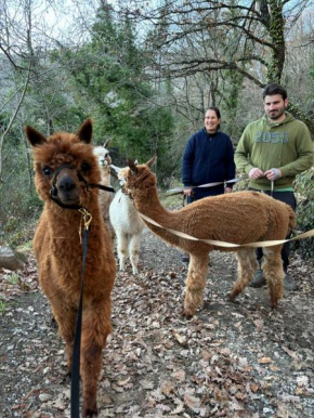 Il Castellare Poggioni